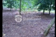 E cần bán đất của e để đi về đăk lăk sống