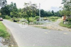 Bán đất 2mt đường gốc rưng 2532m2 600m2 thổ 7ty3