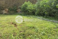 Bán nhanh 2 lô dt 822m2 200 tc lạc thuỷ hoà bình