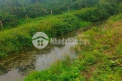 E chính chủ cần bán gấp