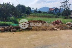 Đất yên bình 1000m thổ cư 400m lô góc trục chính