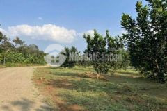 Kẹt tiền cần ra gấp lô đất gần đường d65m giá 380t