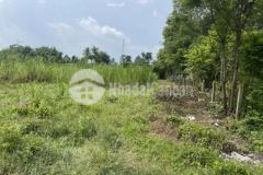 Bán đất 337m xã an nhơn tây huyện củ chi