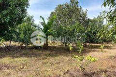 Chính chủ đất tam an đường hương lộ 2 1tr370m2