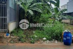 Đất 790tr giá bank mt nhựa 6m dân cư đông bến cát
