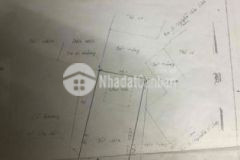 Bán đất bình chánh kế phú mỹ hưng quận 7