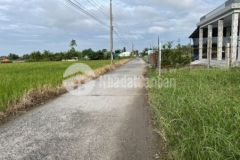 Đất thổ vườn đường ô tô gò công đông tiền giang