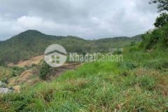 Đất nông nghiệp p11 đà lạt