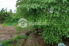 Bán đất mặt tiền cầu mương khai 2 ngay kdc hàn thẻ