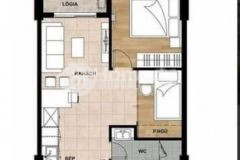 Căn hộ sổ riêng 50m ngay ngã ba vũng tàu