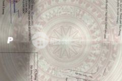 569tr lô góc ô tô đỗ cửa tại tân viên an lão