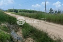 Đât đầu tư nằm khu vực tân nghĩa