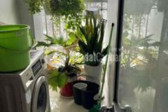 Chính chủ bán nhà chung cư bình trị đông