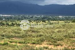 Kẹt tiền bán gấp lô phía sau ql1a gần dân 90km