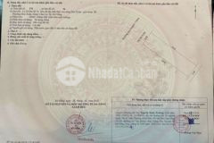 Đảo đường trung lương 12 hòa xuân đường 7m5