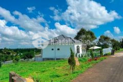 Đất bảo lộc 515 3m2 ngang 12 43m có 200 thổ cư