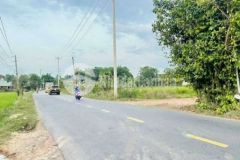 Đất sổ đỏ 1000 m2 ấp 3 xã vĩnh lộc a bình chánh