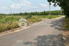 Cần bán đất gấp tx chơn thành