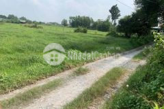 Lô đất đẹp làm nhà vườn 1 bàu công 100m