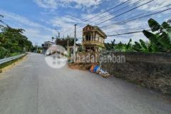 Đất nền thị trấn rừng thông thanh hoá