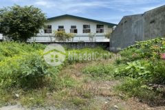 Thanh lí up sọt 10 lô đất thổ cư ở điện lực dt 781