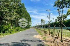 Bán vài lô sổ đỏ 100m2 đất biển cần giờ