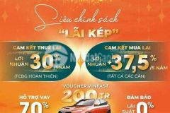 Chính sách ưu đãi đầu tiên và duy nhất vinhomes ocean park