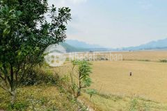 Bán gấp siêu phẩm nghỉ dưỡng dt 3796m2 có 365m2 tc sở hữu tầm view ra sông triệu đô