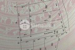 Rẻ nhất sen hồ, lệ chi 45m2 giá nhỉnh 900tr. lh 0964811355