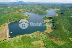 Cơ hội đầu tư siêu đỉnh cho ndt tại tân thanh, lâm hà giá f0