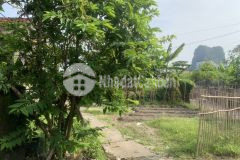 Bán gấp lô đất 238m2 tại thôn hai,xã hạ long vân đồn quảng ninh