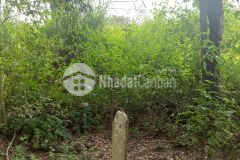 D824 bán đất 2 mặt tiền khánh xuân cách phan huy chú khoảng 400m