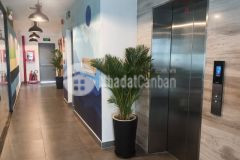 Tòa cao ốc trung tâm đắc địa quận 1 5000m2 cho thuê 60.000usd