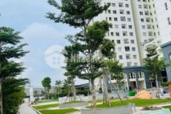 Thanh lý căn 2 pn2wc 62 view hồ bơi nhà mới 100