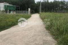 Chính chủ bán 1000m2 đất sát khu công nghiệp