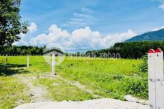 Bán nhanh đất giáp sông qh thổ cực đẹp