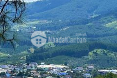 Bán biệt thự châu âu 451m2 p 4 đà lạt 15 tỷ