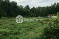 Bán đất thổ cư mặt tiền đường nhựa 2531m2