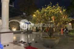 Biệt thự sân vườn 810m2 mt đường ttq12 chỉ 39triệu