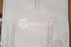 Dt128m 100tc tan hoa thi xã phú my