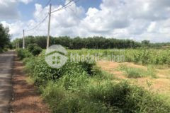 Bán gấp miếng đất dùm chị khách 251m2 490 triệu
