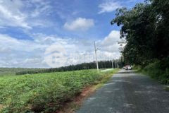 Cần bán lô đất gần chợ tân hưng