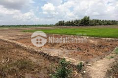 Bán 5750m² đất cây lâu năm để cho con đi học