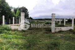 Đất ngay nước mía vườn cau1000m2 150m thổ 2 tỷ