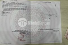 Ngay chợ diện tích lớn giá 450 triệu thổ cư shr