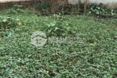 Bán đất an trai vân canh đầu tư tốt