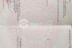 Kiệt oto trần ngọc sương hoà thọ đông