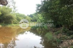 Cần tiền chính chủ bán nhanh lô đất thành phố