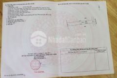 Diện tích lớn full thổ 200m2 giá 590 triệu shr