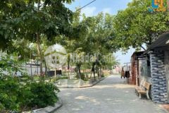 View công viên vườn hoa hợp xây biệt thự nhà vườn